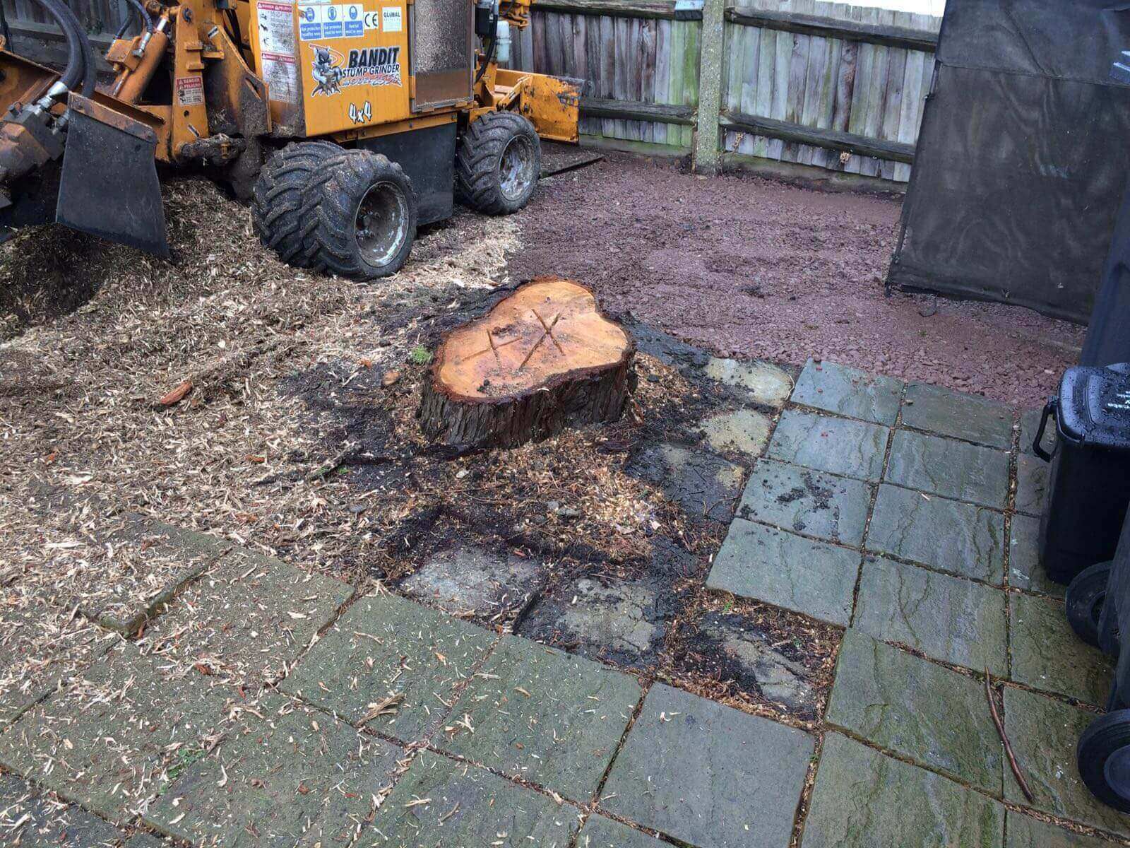 Tree Surgeons Coulsdon CR5