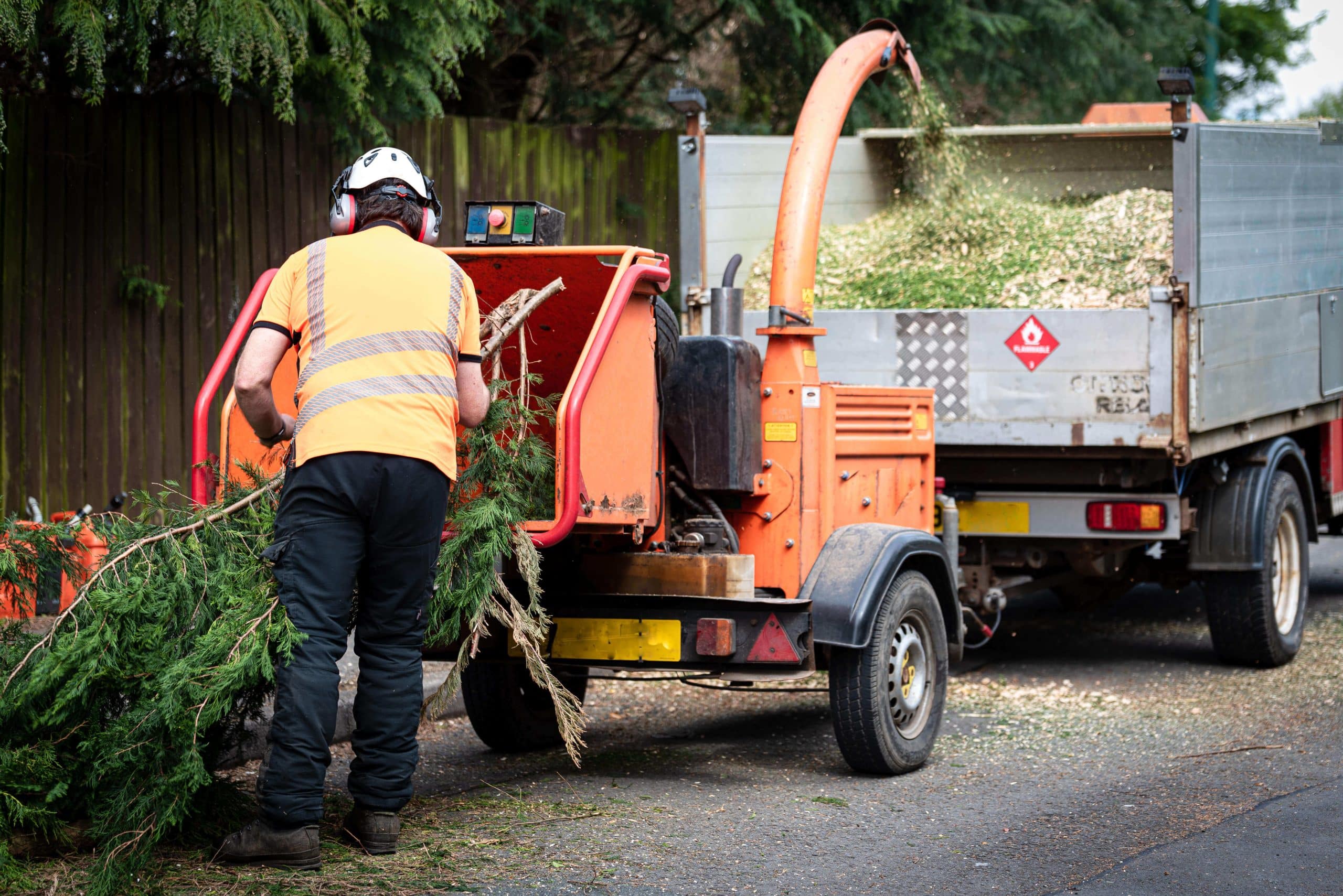 Tree Stump Grinding/Removal Coulsdon CR5